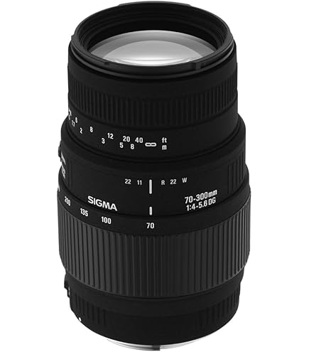 Sigma 70-300mm f/4-5.6 SLD DG Macro Lens with Built in Motor