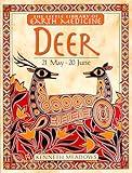 Deer (Little Earth Medicine Library) by 