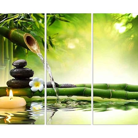 ArtzFolio Spa Garden D3 Split Art Painting Panel On Sunboard 21.7 X 18Inch