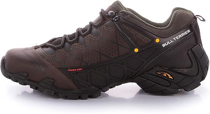 bull terrier extreme low