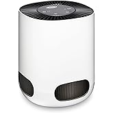 Clorox Air Purifiers for Bedroom Home, True HEPA Filter, Small Rooms Up to 200 Sq Ft, Removes 99.9% of Mold, Viruses, Wildfire Smoke, Allergens, Pet Allergies, Dust, AUTO Mode, Whisper Quiet