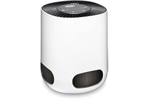 Clorox Air Purifiers for Bedroom Home, True HEPA Filter, Small Rooms Up to 200 Sq Ft, Removes 99.9% of Mold, Viruses, Wildfire Smoke, Allergens, Pet Allergies, Dust, AUTO Mode, Whisper Quiet