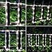 8 Modes Solar Rope Lights Outdoor String Lights 10Meter/33Foot 100LED 2400mah Capacity Battery Starry Fairy Lights Plus 3Meters/9.84Feet Wire for Indoor Outdoor Garden Patio Party Decorations White