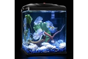 TARARIUM Small Fish Tank, 2 Gallon Glass Aquarium, Betta Fish Shrimp Goldfish Tropical Fish Starter Kit Self Cleaning with Filter & LED Plant Light, Ultra-Quiet Kids Room Decoration Fish Tank