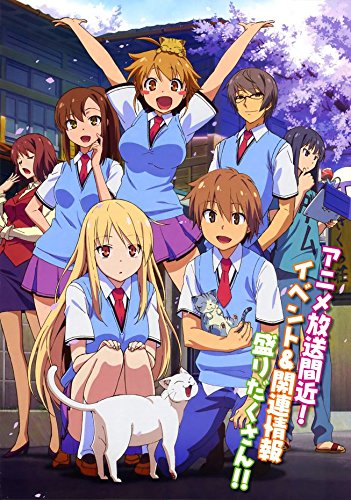 000 Sakurasou no Pet na Kanojo 14x20 inch Silk Poster Aka Wallpaper Wall Decor By NeuHorris