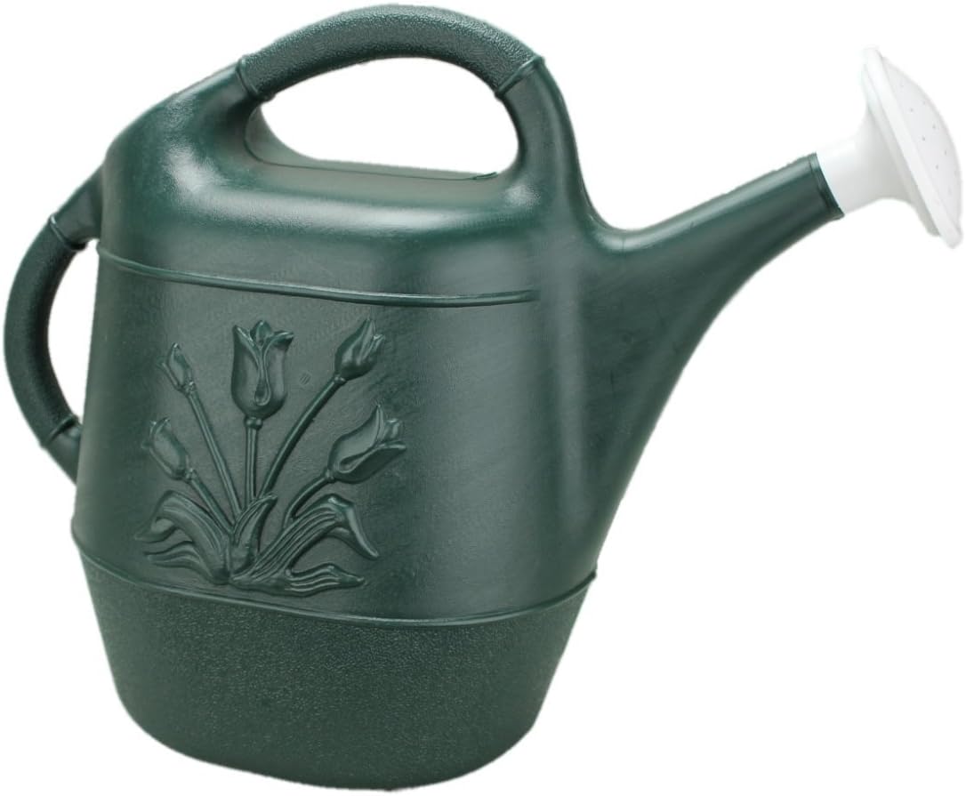 Cado 63065 2Gal Watering Can, Hunter Green, 2 gallon : Garden & Outdoor