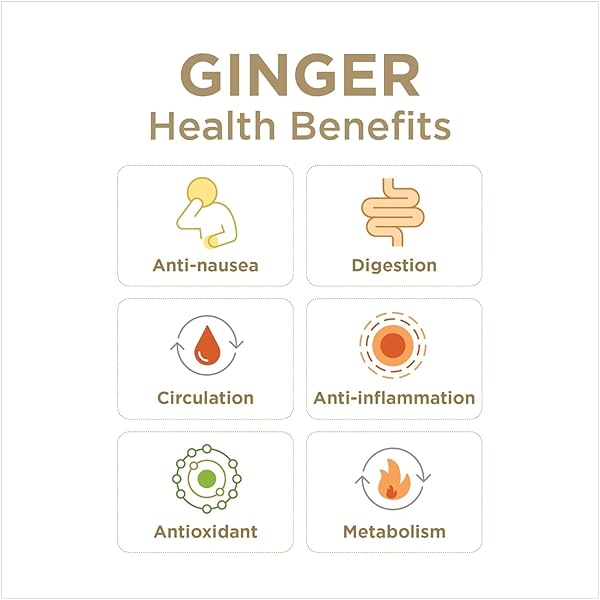 GIN GINS DOUBLE STRENGTH GINGER HARD CANDY – 100% NATURAL CANDY BY THE GINGER PEOPLE – INDIVIDUALLY WRAPPED HEALTHY TREATS – MADE WITH THE FRESH RHIZOME – DOUBLE STRENGTH FLAVOR – 3OZ BAG – PACK OF 1