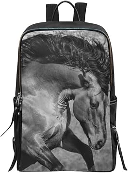 Fresion backpack Clearance