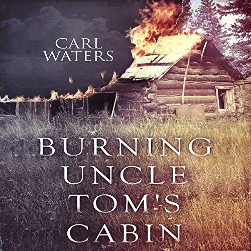 Burning Uncle Tom's Cabin by Carl Waters