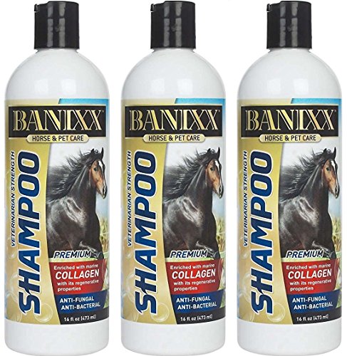 (3 Pack) Banixx Anti-Fungal/Bacterial Shampoo, 16 Ounces Per Bottle