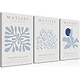 Djmwtb Matisse Canvas Wall Art Blue Abstract Poster Prints Framed Set of 3 Plant Leaves Aesthetic Pictures Minimalist Flower Market Painting Wall Decor for Living Room Bedroom Bathroom 12x16in