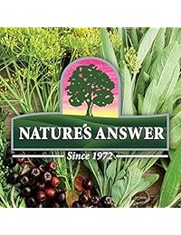 Nature 's Respuesta – Elm interior corteza resbaladiza, 1000 mg, 2 fl oz Liquid