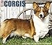 Just Corgis 2019 Box Calendar (Dog Breed Calendar)