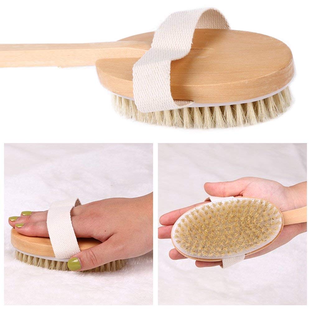 Glamza Long Handle Dry Skin Back Bath Brush, 49 cm Length1 Units