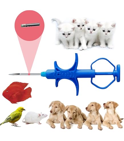 Pet Microchip Track Cat With Microchip Cat Microchip Manruta Pet