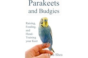 Parakeets And Budgies - Raising, Feeding, And Hand-Training Your Keet