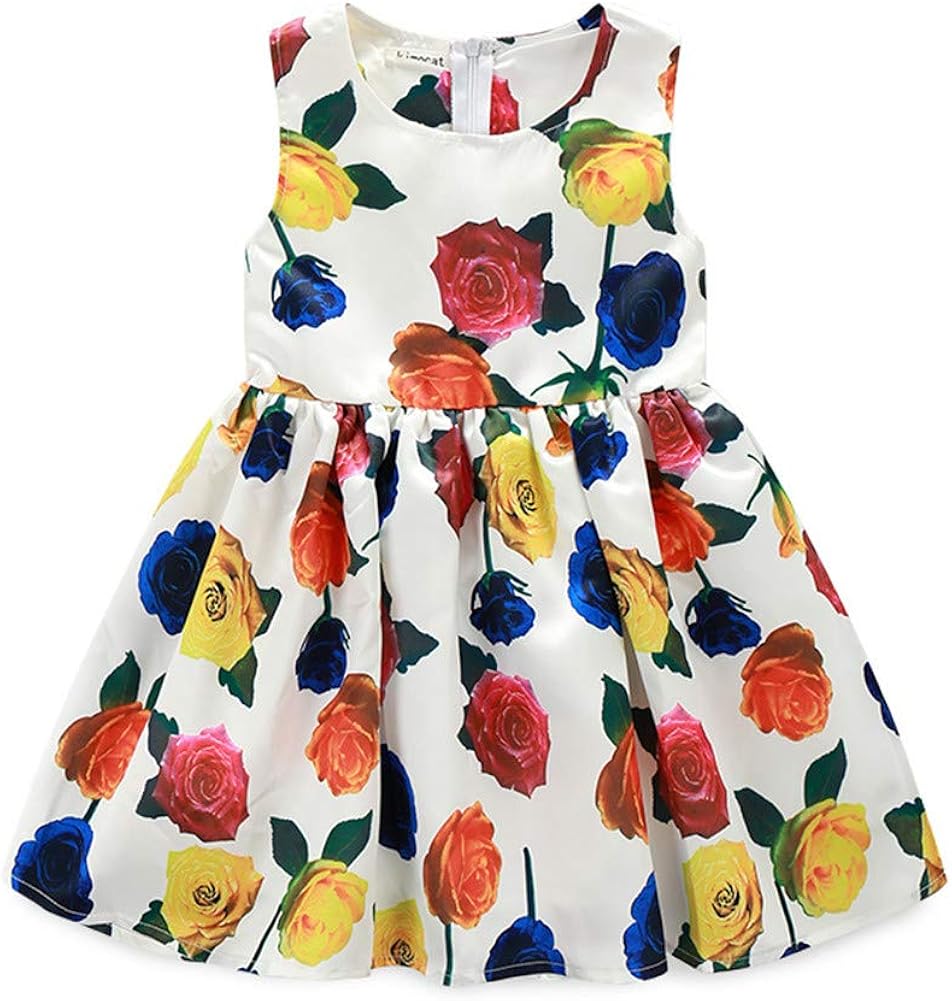 rose dress for baby girl