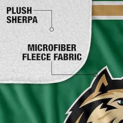 Wright State Raiders Primary Logo Stripes Sherpa