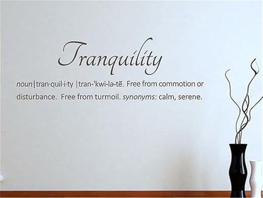 Amazon Com Gtrsa Tranquility Definitions Wall Quote Home Bath