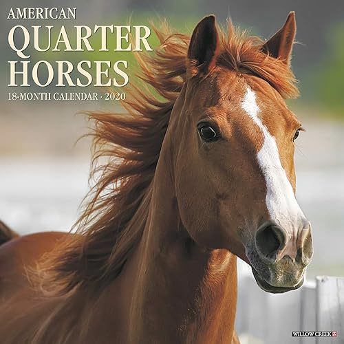 Download American Quarter Horses 2020 Calendar PDF