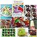 3 Pack of 60 Pieces Gooj New Gummy Worm LFGB, BPA Free Silicone Mold Candy Molds With Printed Recipe Plus 3 Droppers 100% Pure Silicone Chocolate molds and Ice Tray