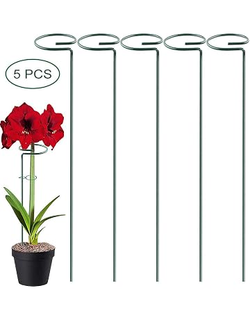 Amazon.es: Soportes para plantas: Jardín
