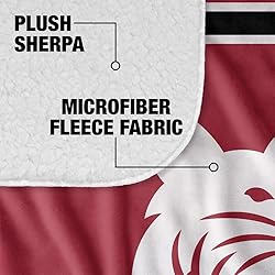 Bates College Blanket, 60"x80" Primary Logo Stripes