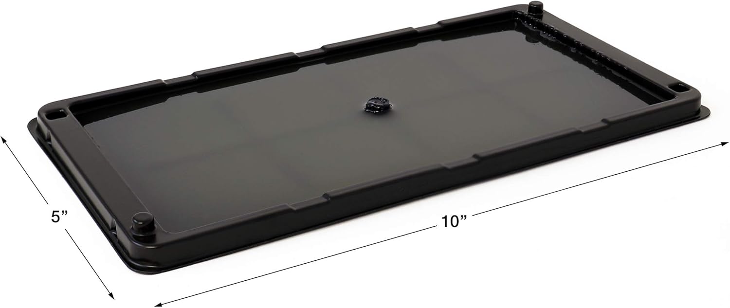 Catchmaster Baited Rat, Mouse and Snake Glue Traps - 12 Glue Trays : Garden & Outdoor