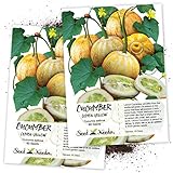 Seed Needs, Lemon Cucumber (Cucumis sativus) Twin