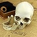 MEKBOK 1:1 Realistic Life Size Human Anatomy White Resin Replica Skull Halloween Decor