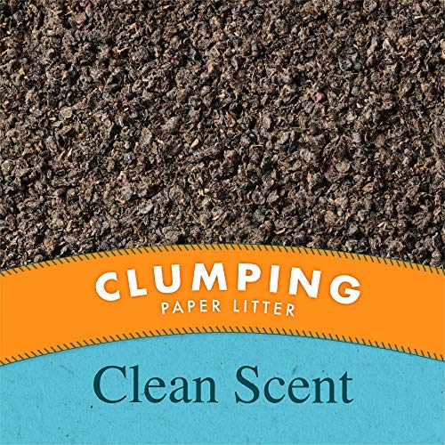 PURINA Yesterday's News Clumping Paper Lightweight Cat Litter, Clean