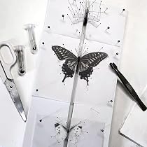 Stainless Steel Insect Pins Kit Specimen Entomology Pins Insect Pins Kit Pack5 Sizes I133907056