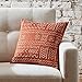 Amazon Brand – Rivet Mudcloth-Inspired Decorative Throw Pillow, 17