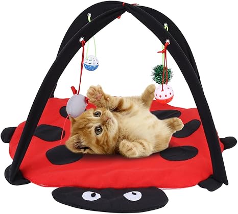 Pssopp Chat Jouets D Activite Interactive Tapis De Jeu Pliable De Chat Tente Chaton Parc D Attractions Lit De Jeu Pour Animal Hamac Lit Pour Bebe Multifonction Avec Pendaison De Balle De Jouet Amazon Fr