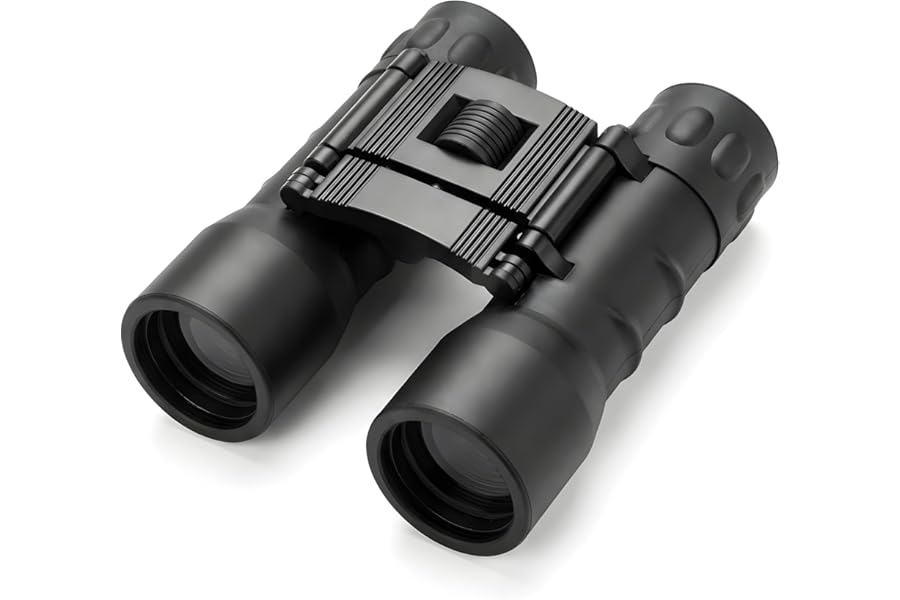 Compact 10x32 Waterproof Binoculars, Shockproof, Fogproof, 10X Magnification, Bak9 Prism, Multi-Coated Lenses for Hiking Nature Watching Travel and Sports