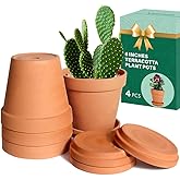 vensovo 6 Inch Clay Pot for Plant with Saucer - 4 Pack Large Terra Cotta Plant Pot with Drainage Hole, Flower Pot with Tray,