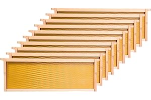 Honey Lake Medium Beehive Frames and Foudations Kit,10 Pack Super Wooden Frames and Beeswax Dipped Plastic Foundations for Beekeeping