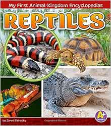 kingdom of reptiles