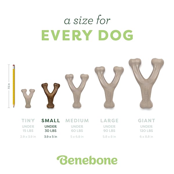 BENEBONE WISHBONE DURABLE DOG CHEW TOY FOR AGGRESSIVE CHEWERS, MADE IN USA, SMALL, REAL BACON FLAVOR