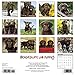 Just Chocolate Lab Puppies 2018 Calendar