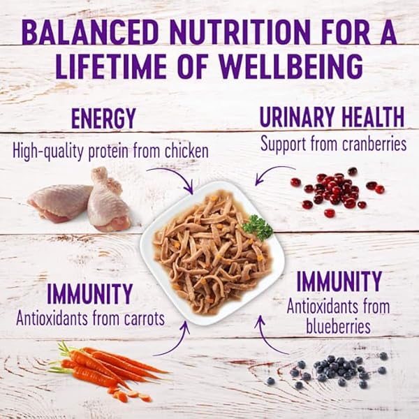 HEALTHY INDULGENCE® SHREDS CHICKEN & TURKEY