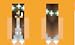 NewBorn Skins for Minecraft PE