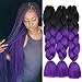 Ombre Color Synthetic Hair 3 packs Jumbo Braiding Hair Extension 24Inch 100gram Synthetic Two Tone High Temperature Crochet Braids (Black and purple)