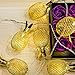 OMIKA Gold Metal Mesh Pineapple Lantern String Lights, 6.5ft 10 LED USB Plug & Battery Powered Novelty Fairy Lights for Bedroom Wedding Birthday Party Pineapple Decor(Warm White)