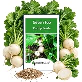 500 Seven Top Turnip Seeds for Planting Non GMO Heirloom Turnip Seed | Non GMO, Heirloom Seeds, Instant Latch Garden Seed