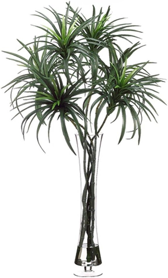 Dracaena Floor Plant in Decorative Vase