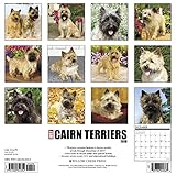 Image de Just Cairn Terriers 2018 Calendar