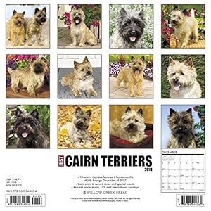 Just Cairn Terriers 2018 Calendar