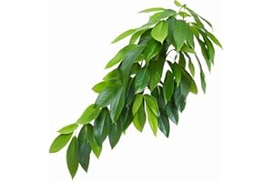 ReptiKing Reptile Terrarium Hanging Plant, Fake Plants for Reptile Enclosure, Ideal for Chameleon Bearded Dragon Lizard Leopard Gecko Crested Gecko Snake Tank Accessories, L=12 inches