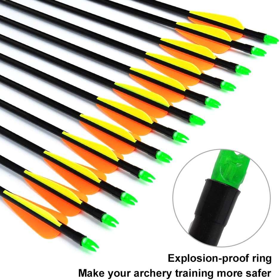 ANTSIR 12Pcs/lot Fiberglass Target Arrow 30 inch Adult Archery Hunting Nock Proof Arrow Steel Point 15-40 Lbs for Recuve & Compound Bow : Sports & Outdoors